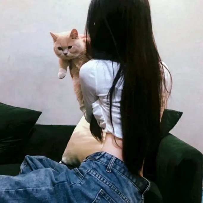 怪妳过分美丽