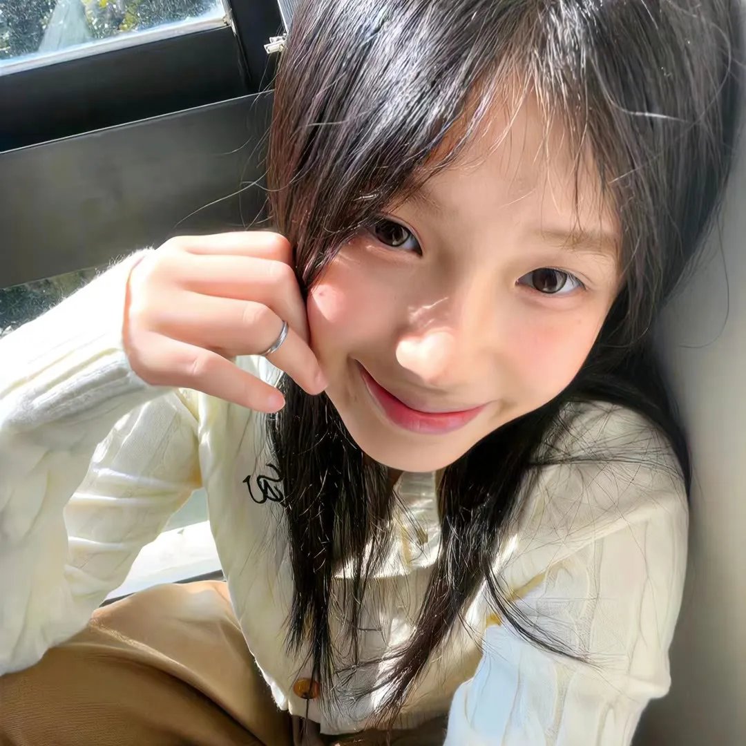 托梅斯的导盲犬